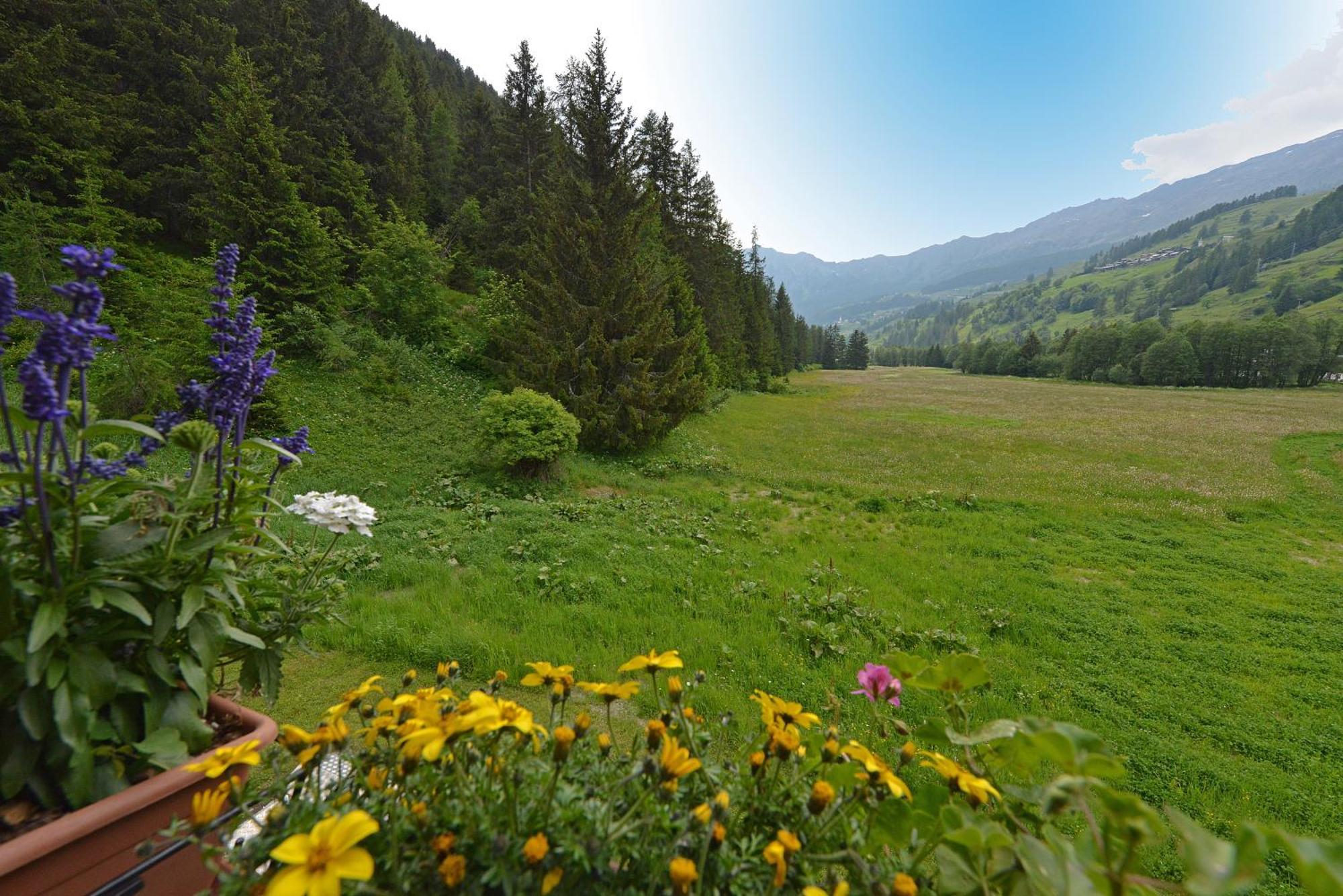 Hotel Le Petit Abri Champoluc Εξωτερικό φωτογραφία