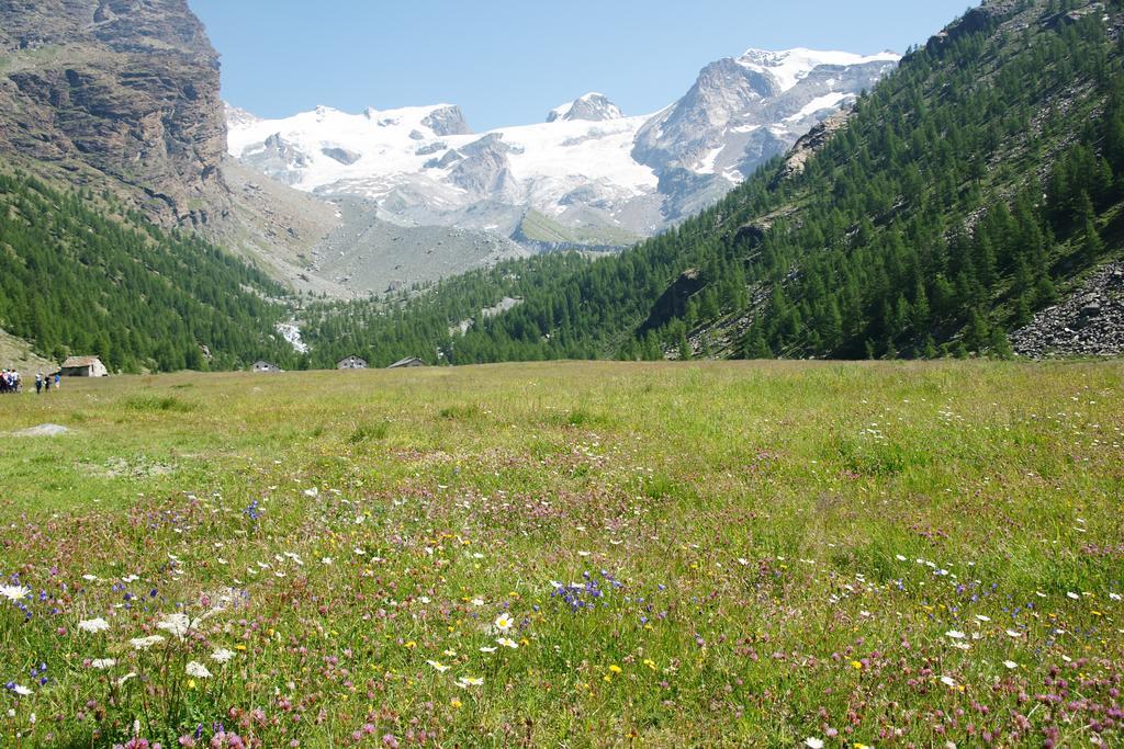 Hotel Le Petit Abri Champoluc Εξωτερικό φωτογραφία