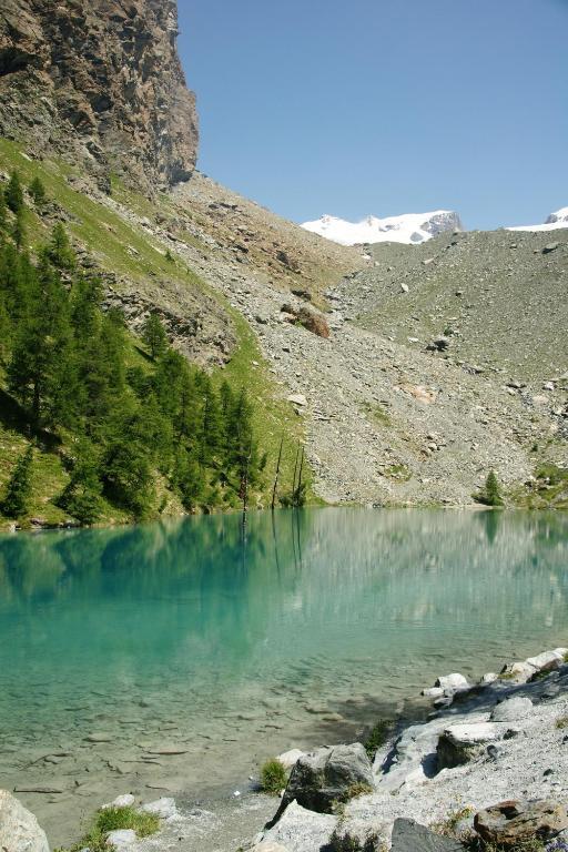 Hotel Le Petit Abri Champoluc Εξωτερικό φωτογραφία