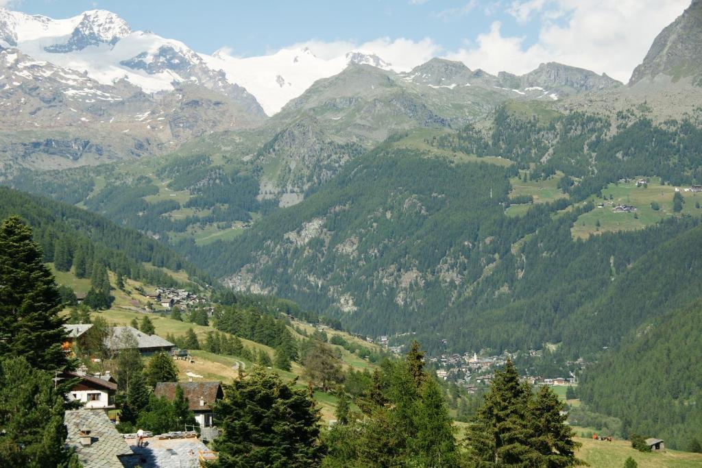 Hotel Le Petit Abri Champoluc Εξωτερικό φωτογραφία