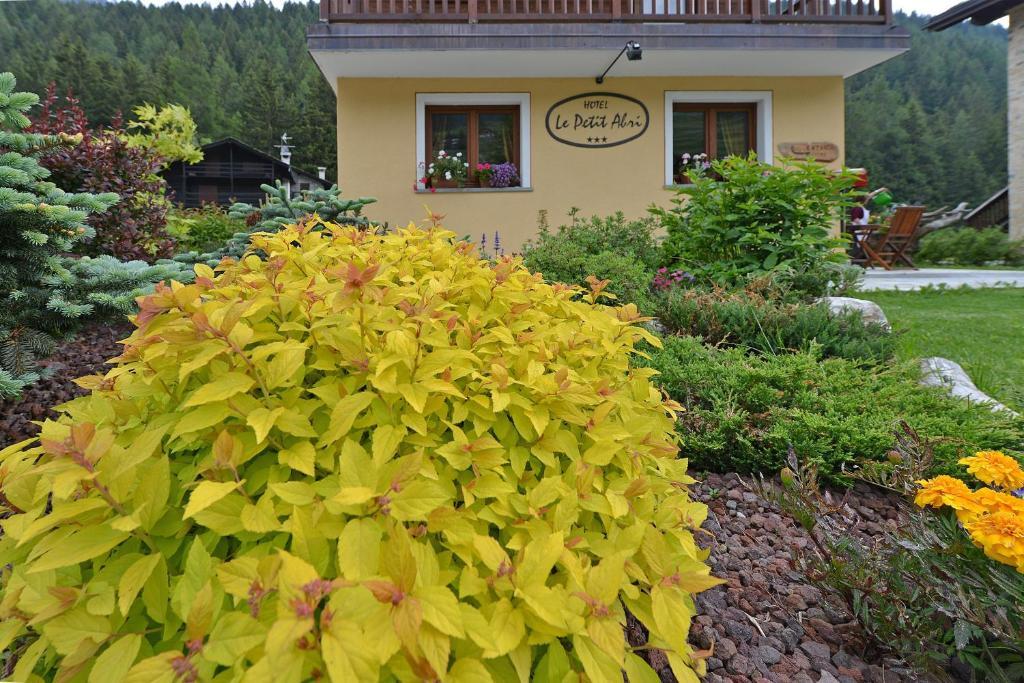 Hotel Le Petit Abri Champoluc Εξωτερικό φωτογραφία